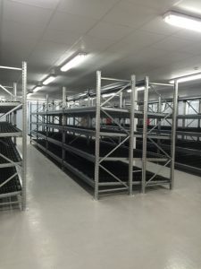Heavy Duty Shelving Installation